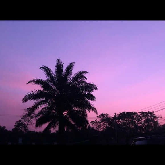 Meet your Posher, Chels - Picture 1 of 1